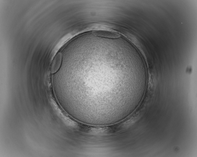 X0000115360997200911241212