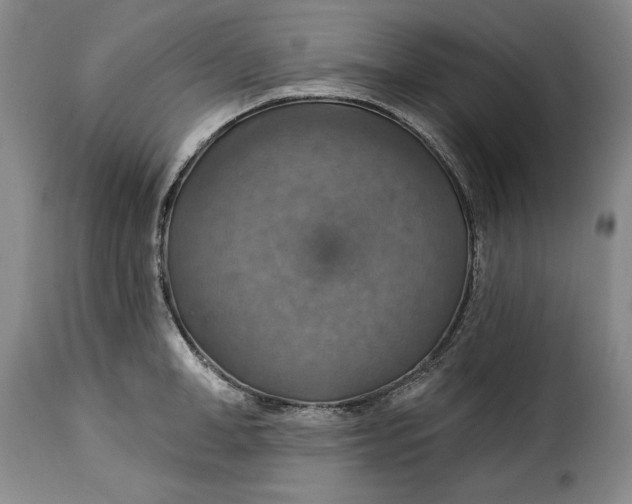 X0000115360998200911241212