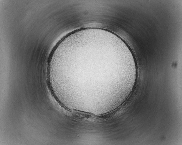 X0000115361000200911241212
