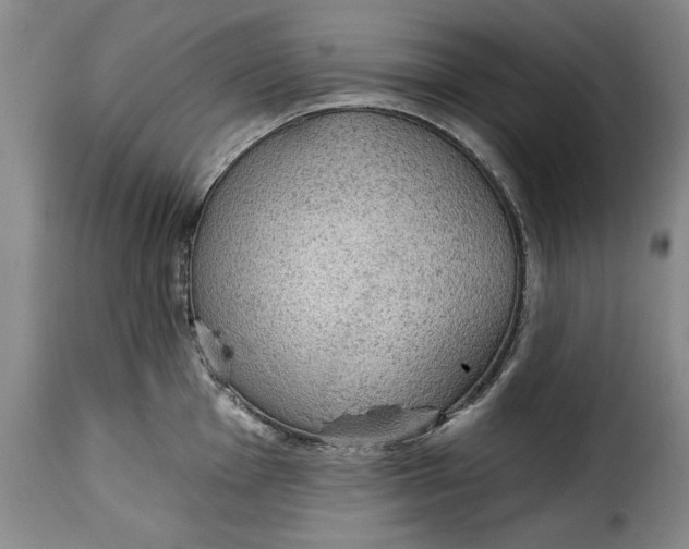 X0000115361001200911241212