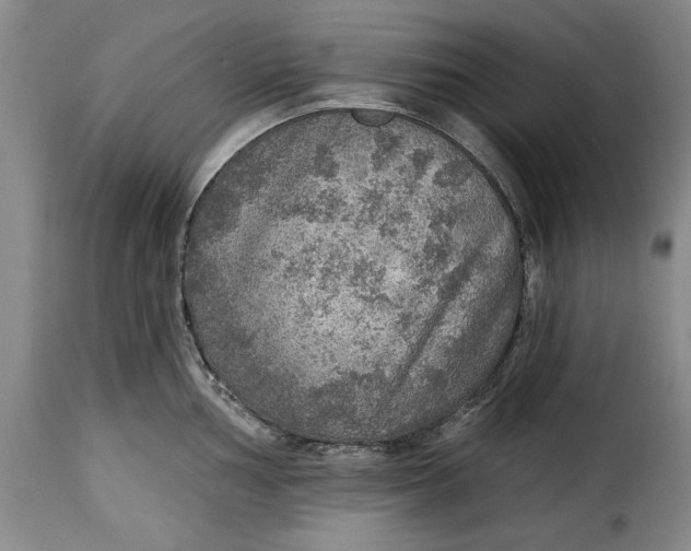 X0000115361002200911241212