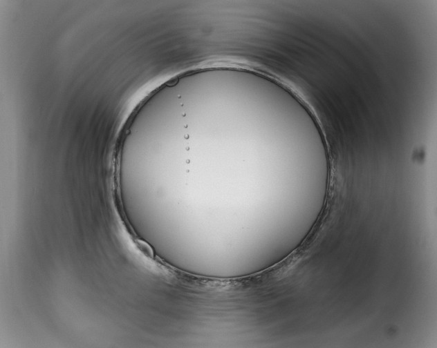 X0000115361003200911241212