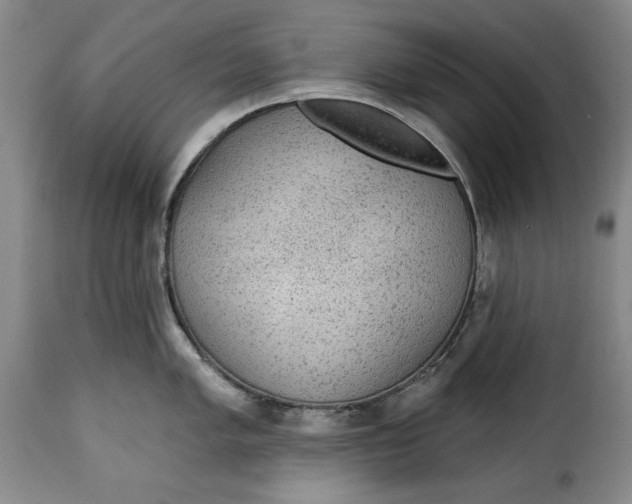 X0000115361005200911241212