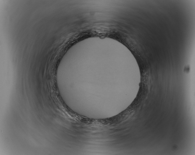 X0000115361009200911241211
