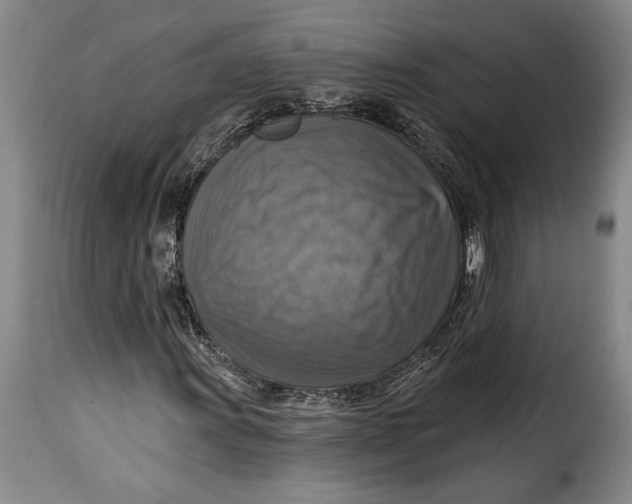 X0000115361011200911241211