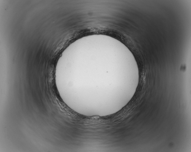 X0000115361012200911241211