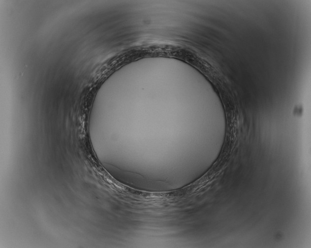 X0000115361013200911241211