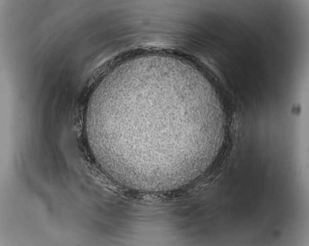 X0000115361015200911241211