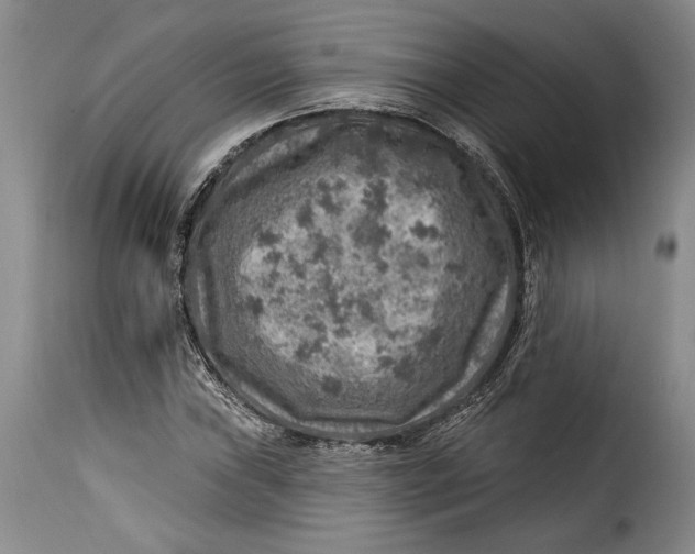 X0000115361019200911241211