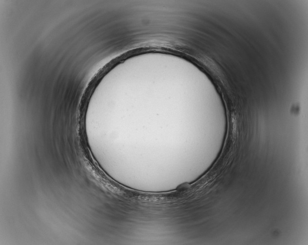 X0000115361020200911241211