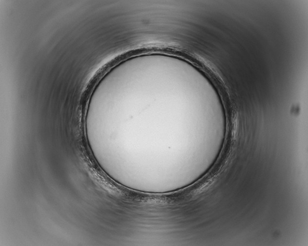 X0000115361021200911241211