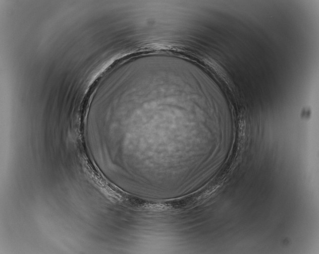 X0000115361023200911241211
