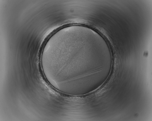 X0000115361024200911241211
