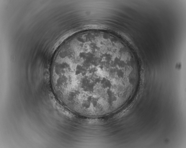 X0000115361025200911241211