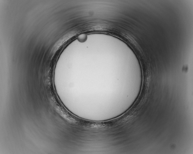 X0000115361026200911241211
