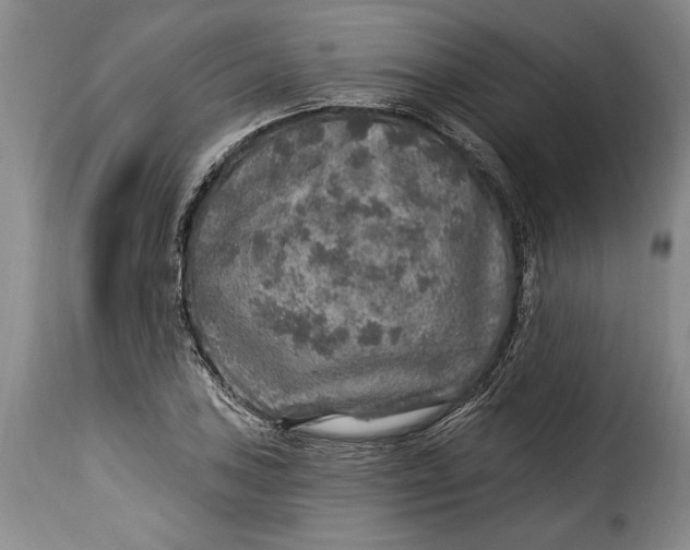 X0000115361027200911241211