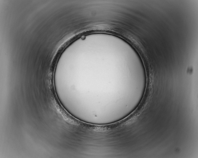 X0000115361029200911241211