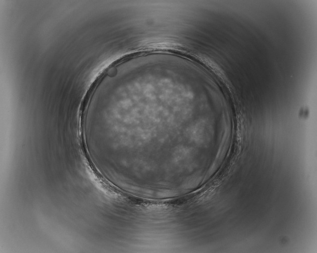X0000115361031200911241211