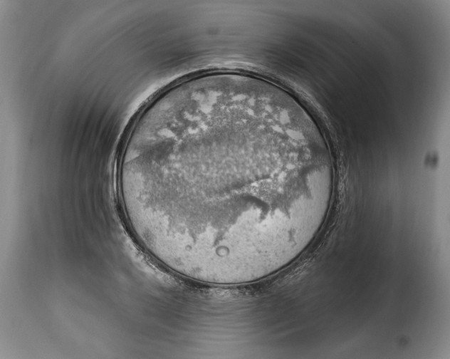 X0000115361032200911241211