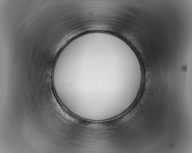 X0000115361033200911241211