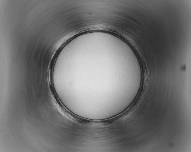 X0000115361034200911241212