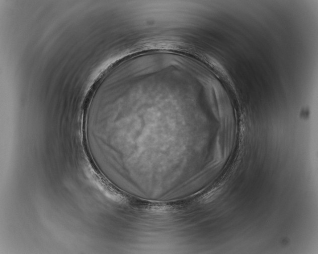 X0000115361035200911241212