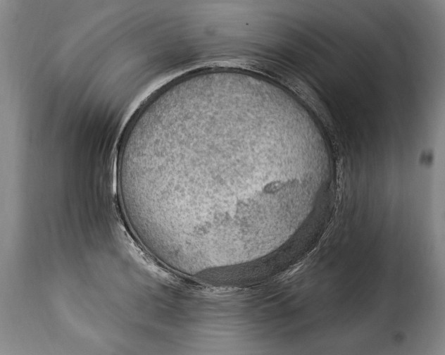 X0000115361036200911241212