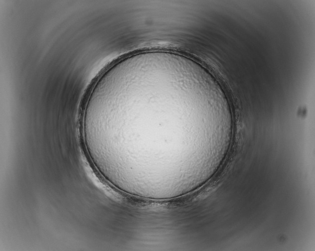 X0000115361038200911241212