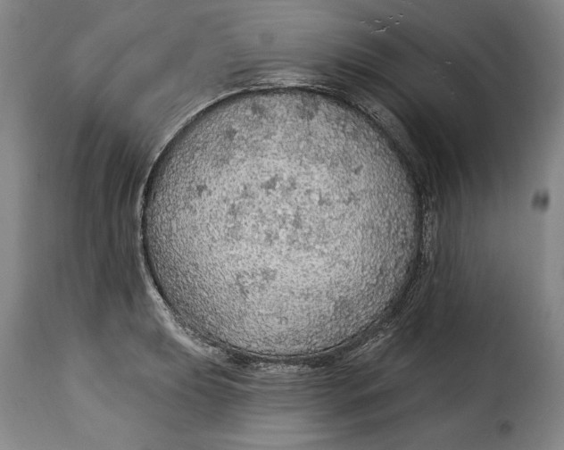 X0000115361039200911241212