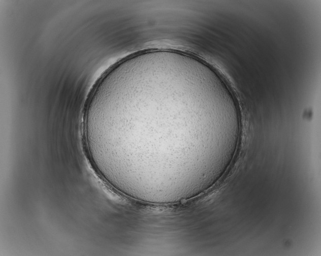 X0000115361040200911241212