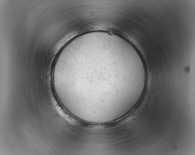 X0000115361042200911241212