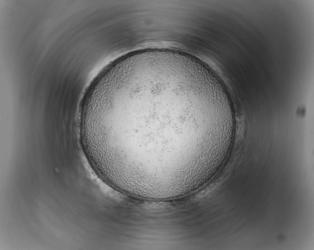 X0000115361046200911241212