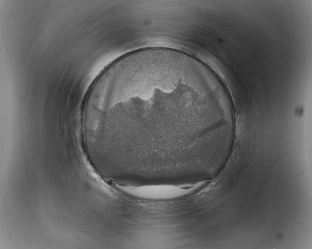 X0000115361048200911241212