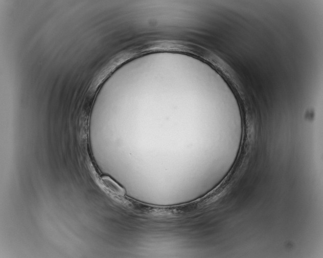 X0000115361049200911241212