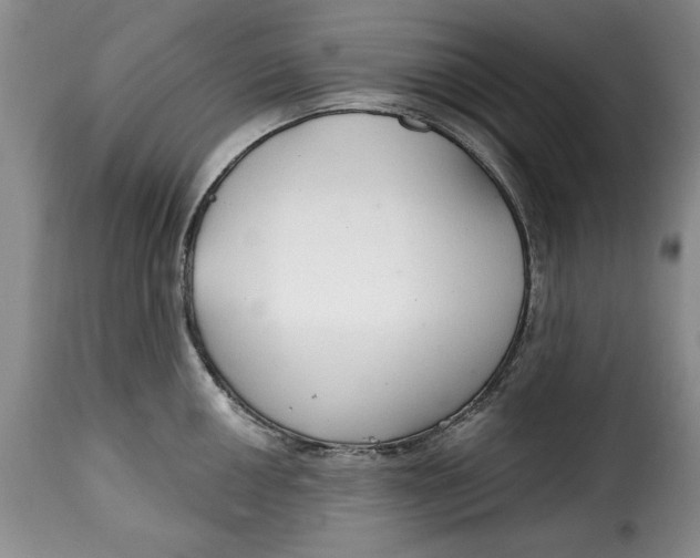 X0000115361050200911241212