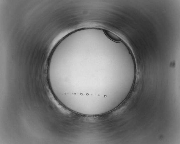 X0000115361053200911241212