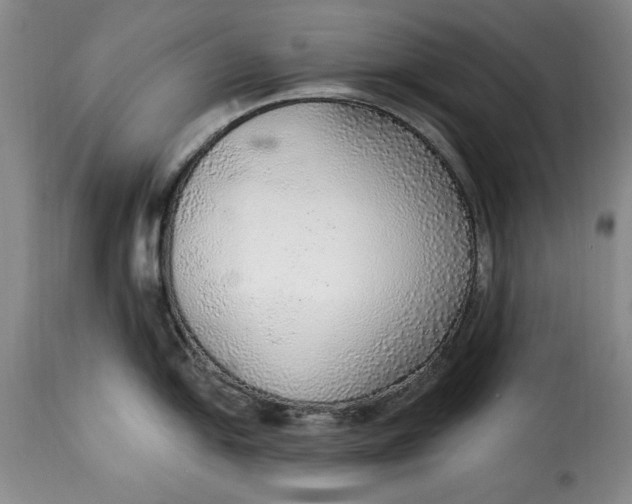 X0000115361054200911241212