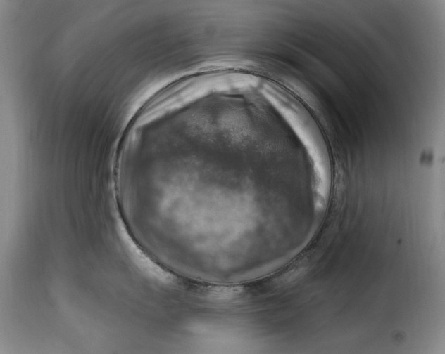 X0000115361055200911241212