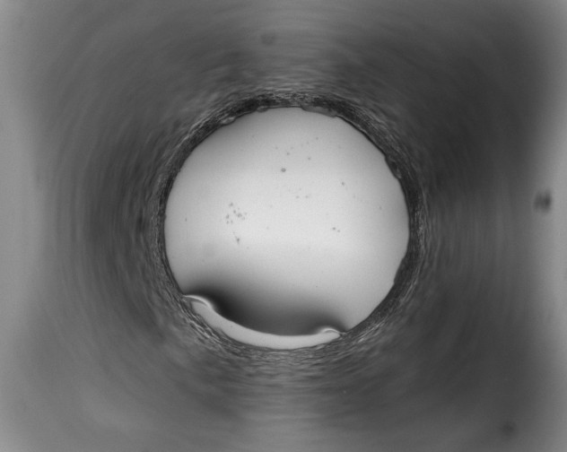 X0000115361057200911241211
