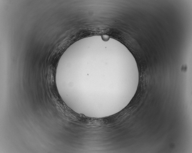 X0000115361058200911241211