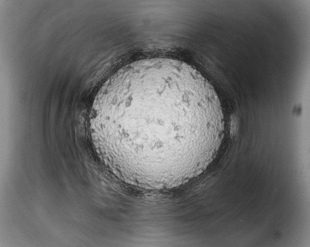 X0000115361059200911241211