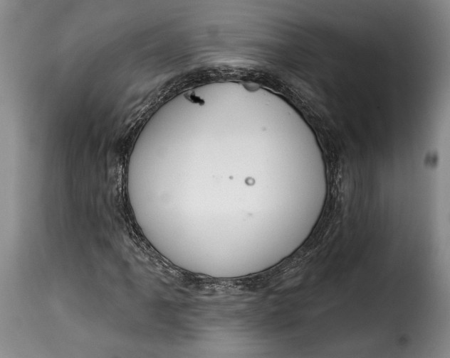 X0000115361061200911241211