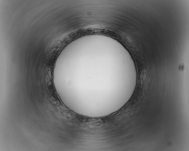X0000115361062200911241211