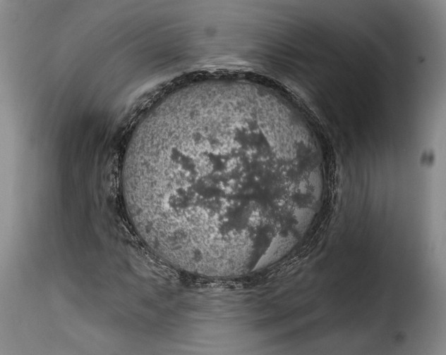 X0000115361063200911241211