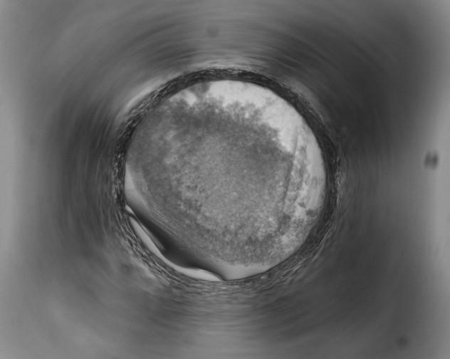 X0000115361064200911241211