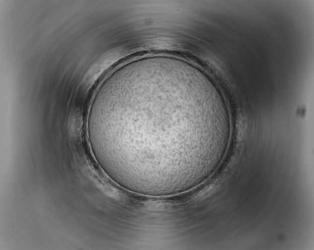 X0000115361065200911241211