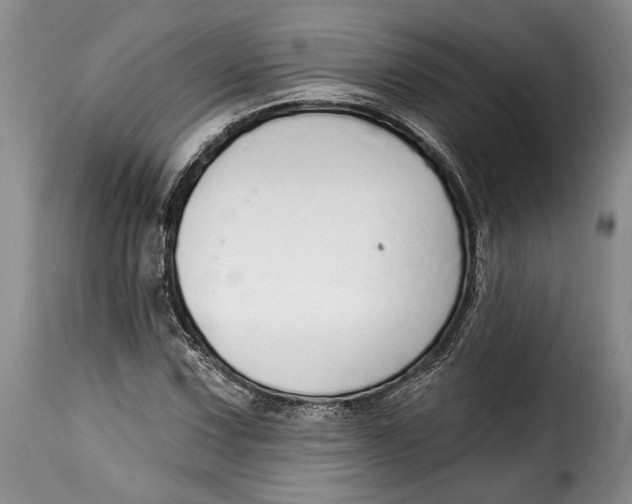 X0000115361067200911241211