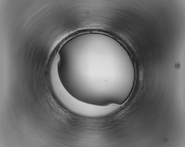 X0000115361069200911241211