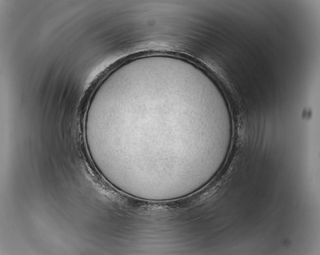 X0000115361070200911241211