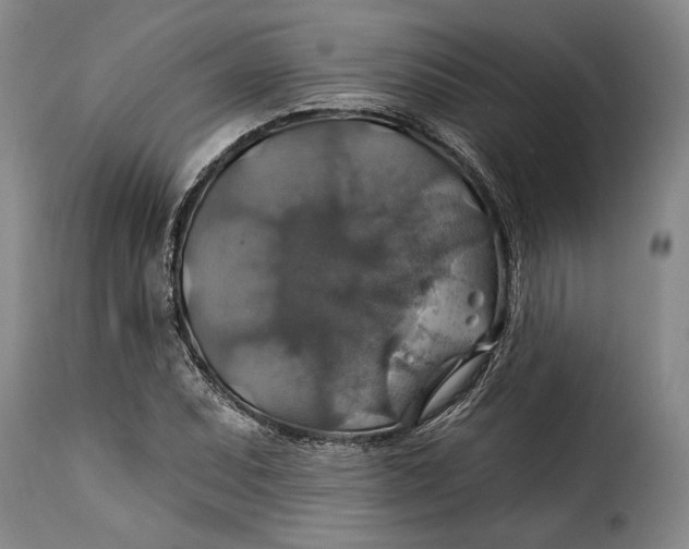 X0000115361071200911241211